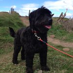 Photo by Animal Concern Cumbria (@AnimalConcernW)