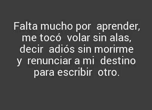 Grafocafe's tweet image. 