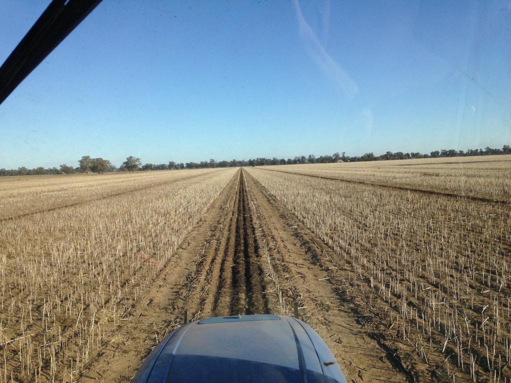 markt8040's tweet photo. Very nice to be back in good pdks :) This grower has no internal fences #1block #notManyTrees #howItShouldBe http://t.co/ViffcB2jzX
