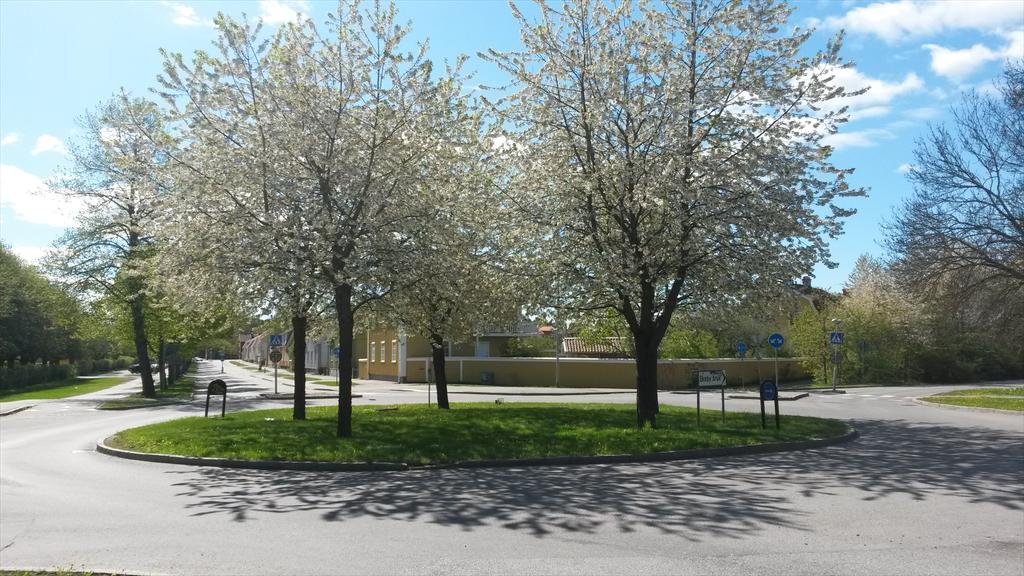 CarlEricE's tweet photo. Underbar Vårbals dag i #Uppsala idag! #Vårbal #Vdala http://t.co/E68nqpRO0U
