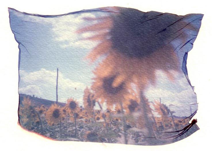 AzarMc's tweet photo. “MANI_POLA” – #Polaroid manipolate ad arte, live #daTandem http://t.co/CcJbppxaXx @danielatieni @ClaudiaVanPelt http://t.co/Pfy0LOiRfZ
