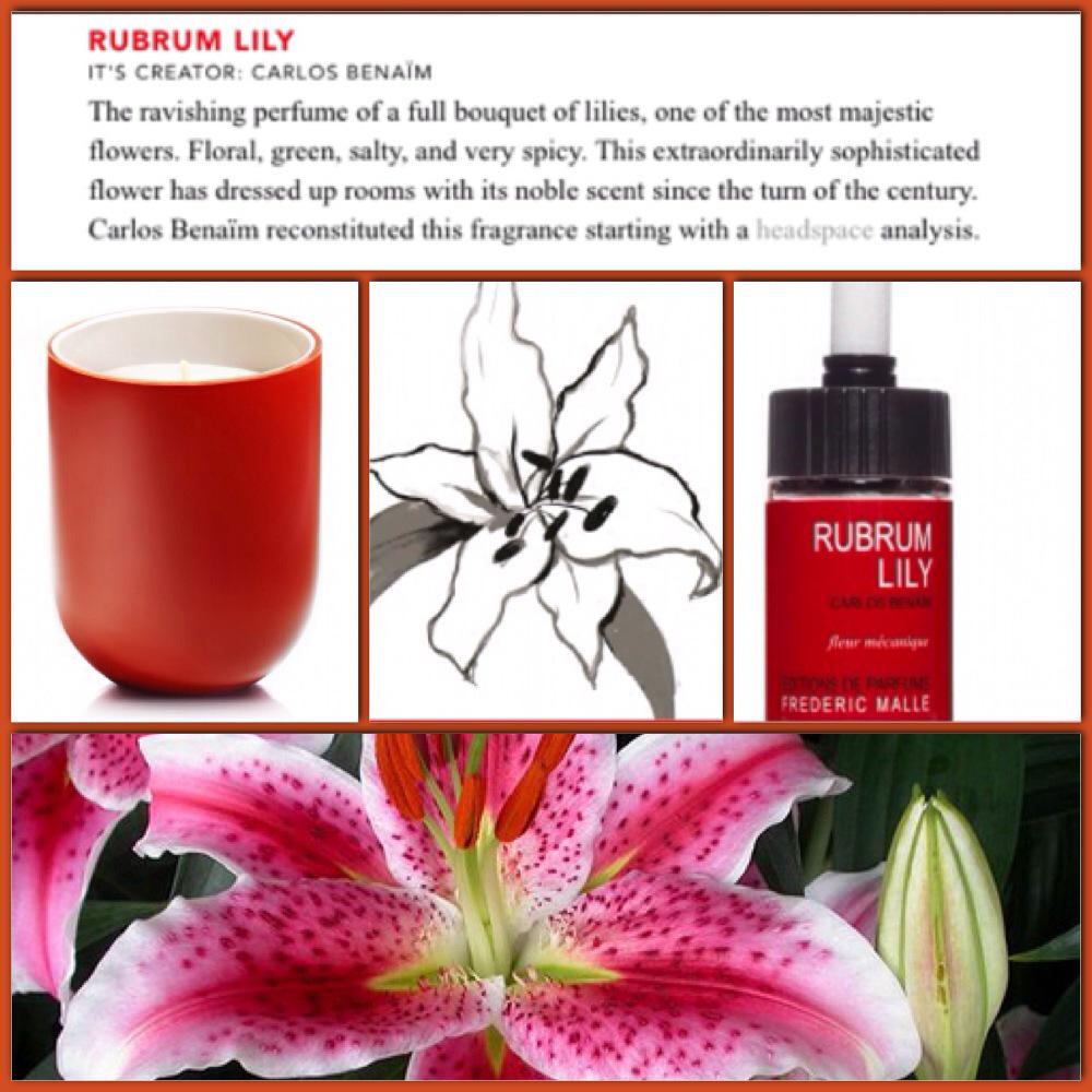 RUBRUM LILY: its creator: Carlos Benaim. Spicy, salty and floral.#candles #Fragrance #fredericmalle