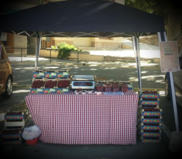 Ja les heu tastat? #cireres #subirats #penedes