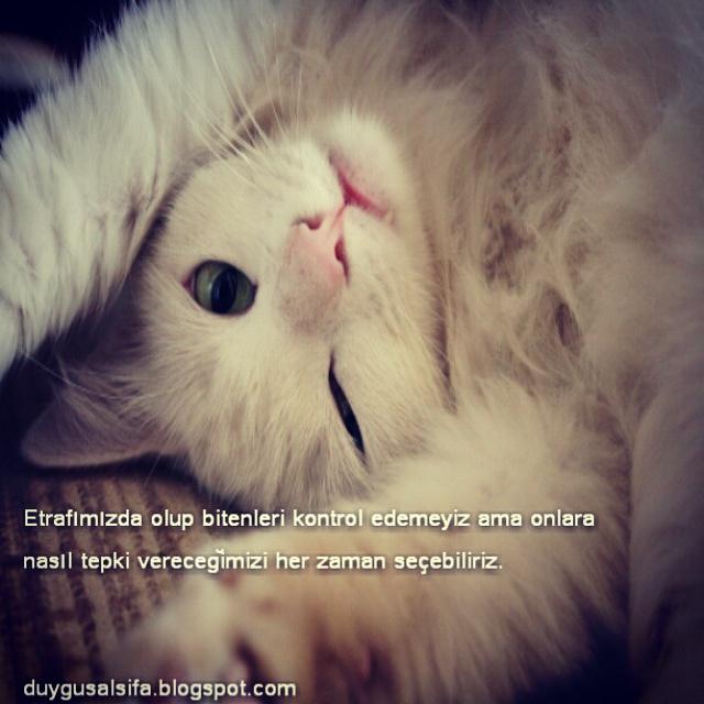 duygusalsifa's tweet photo. http://t.co/aVHNkSc201