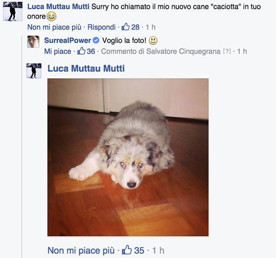 SurrealPower's tweet photo. Pucciosa :3 #caciotta http://t.co/BeC7CcBAJc