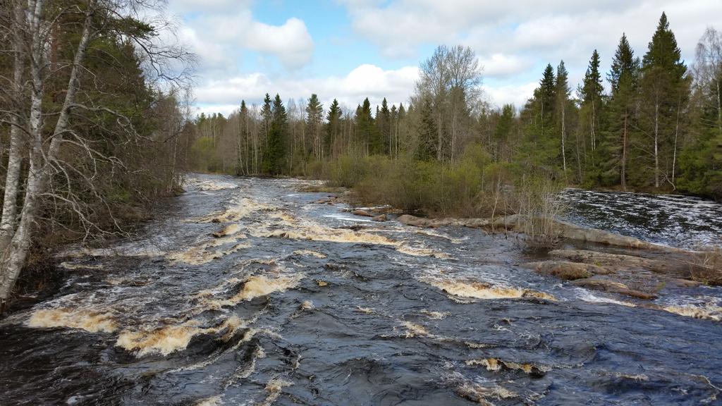 satu_'s tweet photo. #ilimanenoululainenelämys - tuosta just  kumiveneellä #Koiteli'n koskea laskettiin! Kiitos @GoArctic, upea kokemus! http://t.co/DtOaIUscus