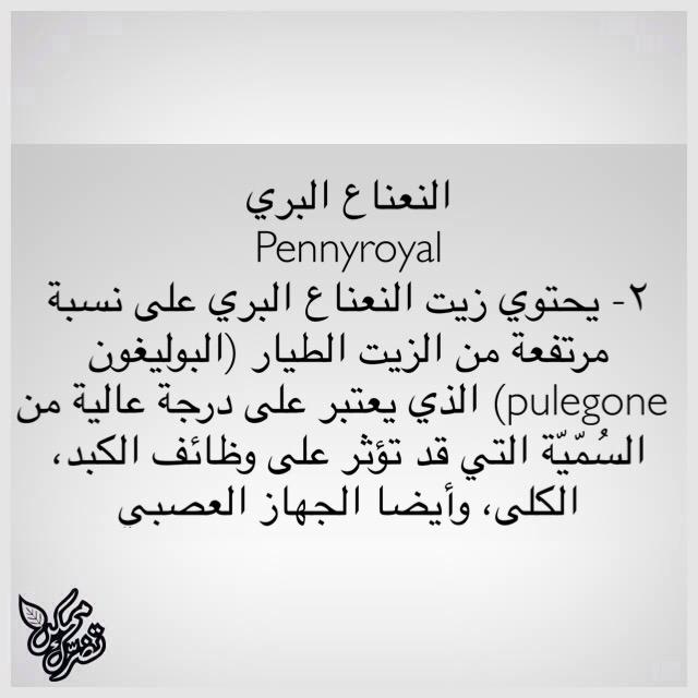 MomkenTodorak's tweet photo. #ممكن_تضرك
زيت النعناع البري ٢

#ممكن_تضرك #الأعشاب #صحتك #الطب_الشعبي http://t.co/yNvVwlZE4N