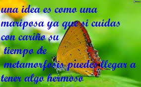 mcarmen24dcmbr's tweet photo. Una idea es como una mariposa ya que si cuidas con cariño su tiempo de metamorfosis puedes ... #CREA_INTEF #IdeaEs http://t.co/NfxGHvevjo