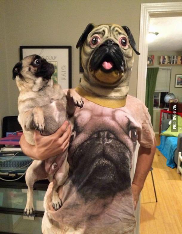 StumblerTop's tweet photo. Hooman... wut are u doin? http://t.co/1wy3hGqzbK
