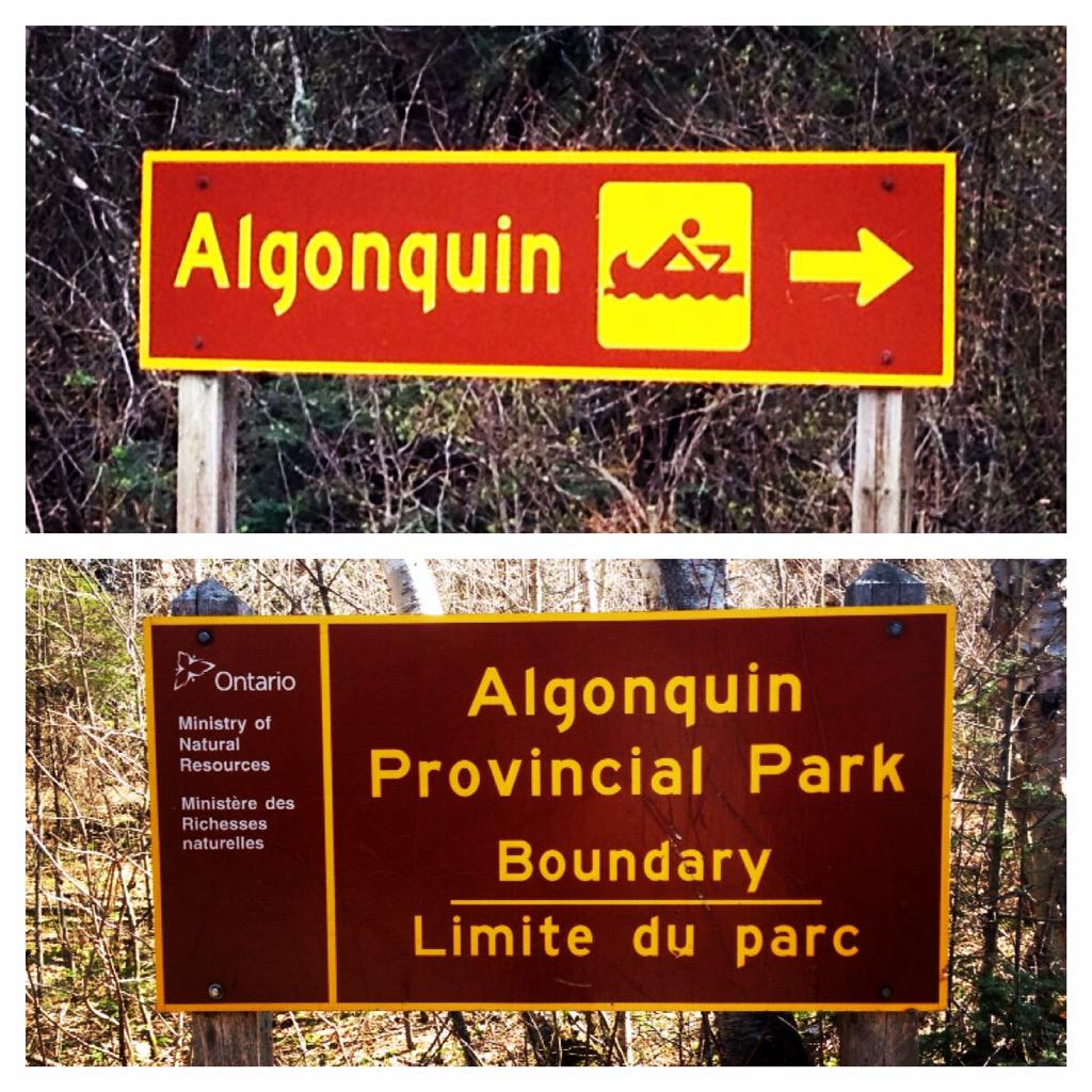 Canoe_Algonquin's tweet photo. Long weekend is here! Let's go!
#Algonquinpark #Algonquin #Canoealgonquin #canoe #kearneyont http://t.co/WkAsuHrw0Z