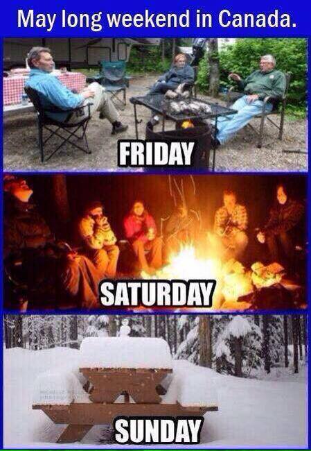 QueenBeeAuto's tweet image. May Long ritual begins! Be prepared out there, friends! #maylong2015