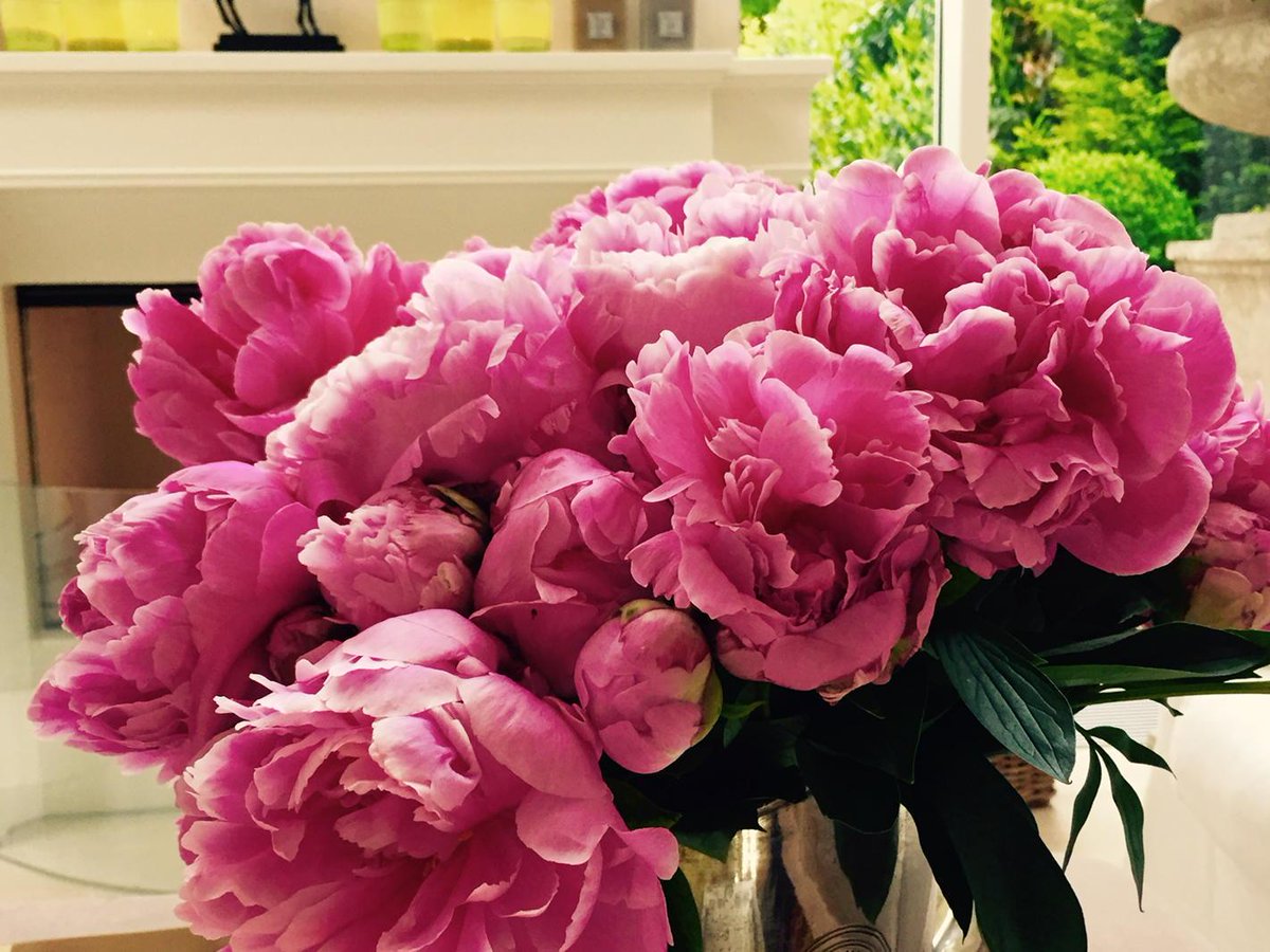 It's beginning to look like summer☀️ Happy weekend