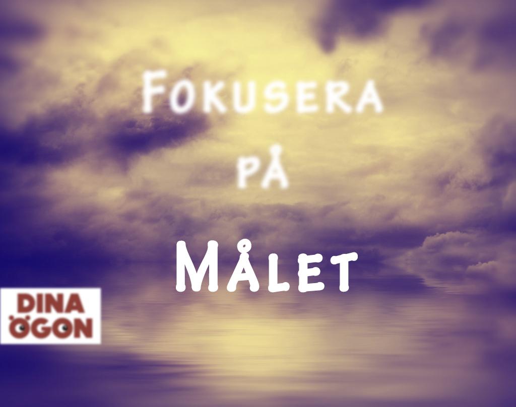 Dina Ögon (@dinaogon) on Twitter photo 