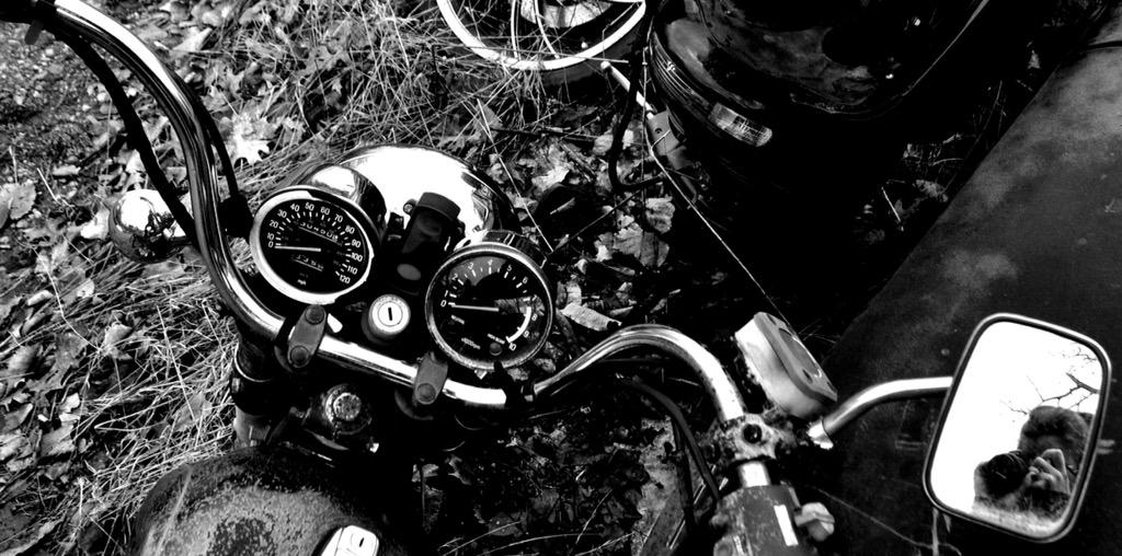 Check out my latest pieces on my Instagram page, and give it a follow! nikolalendlphotography #photography #Instagram