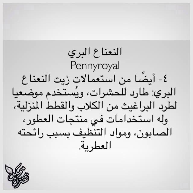 MomkenTodorak's tweet photo. #ممكن_تضرك
زيت النعناع البري ٤

#ممكن_تضرك #الأعشاب #صحتك #الطب_الشعبي http://t.co/K2A3Hj9vNT