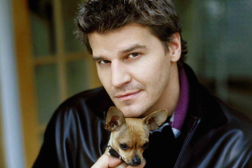 Happy Birthday, David Boreanaz! Remember That Time You Hijacked an Interview?  