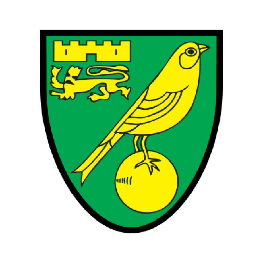 TheHeadtoHead's tweet photo. Which team would you rather see back in the Premier League?

RT for Norwich City
FAV for Middlesbrough http://t.co/nZLeSu85OK
