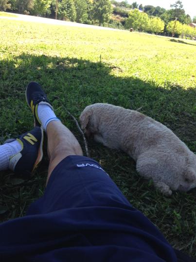 Que buen día , comienza el Verano #ronnie