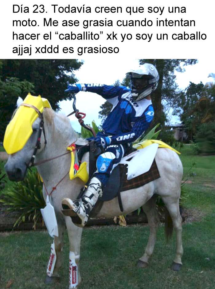 caballo ninja