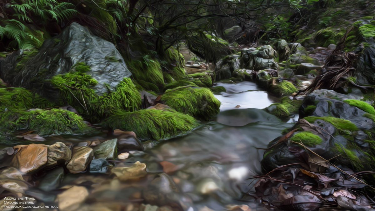 AlongTheTrail's tweet image. A serene setting to climb into.
full post w/ quote below

#shastatrinity #redding #nature 

facebook.com/photo.php?fbid…