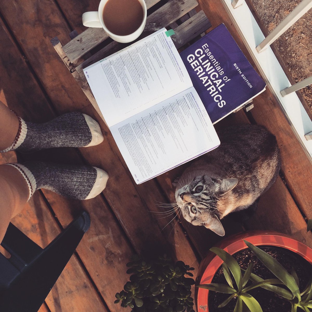 EmmaPerk's tweet image. The #geriatricpopulation are often found to have little voice.Listen thoughtfully,they have #powerfulinsight to share