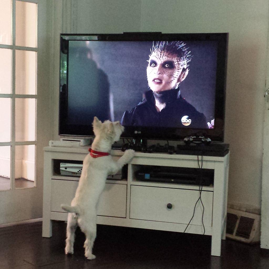 jacksonkuhl's tweet photo. Sorry Ruth Negga but Griffin does NOT care for Raina. #agentsofshield http://t.co/0f1AqndMnd
