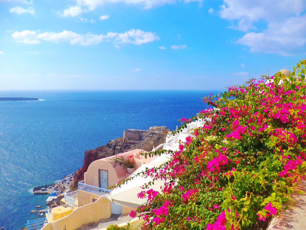 Spring at Oia Santorini 🌺