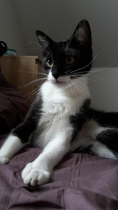 Today Ikis stole the show so here's some more of him ;) Thank you boys and girls, you were amazing :)