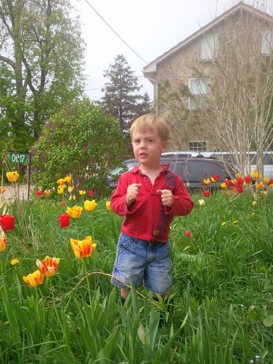 CBGBuilds's tweet photo. Tip toeing through the tulips http://t.co/DeZdJuM5pf