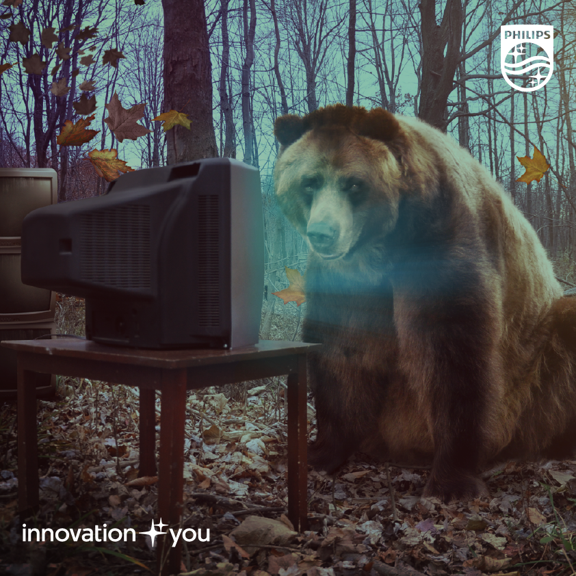 philipstvmexico's tweet photo. ¡Que oso que tu televisión no sea #Philips!  
 #PhilipsConmigo #InnovationYou http://t.co/AH3w9pBzgK