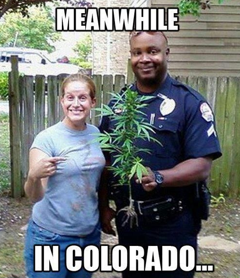 RollingPaperCo's tweet photo. Colorado Rules. http://t.co/LEnxrbBcoY