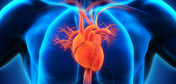 biobio's tweet photo. ¿Por qué nunca oímos hablar del cáncer al corazón? Entérate en esta nota http://t.co/zQNEr76NbK http://t.co/I971MWrYPy