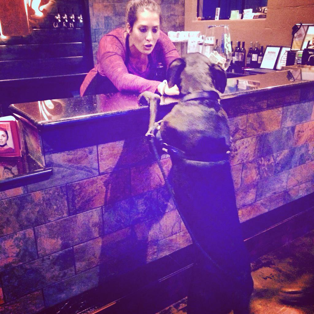 She kept barking orders at Katie! Did you know we are pet friendly? #walnutcreek #wineshop #cabernet #dogs #wine