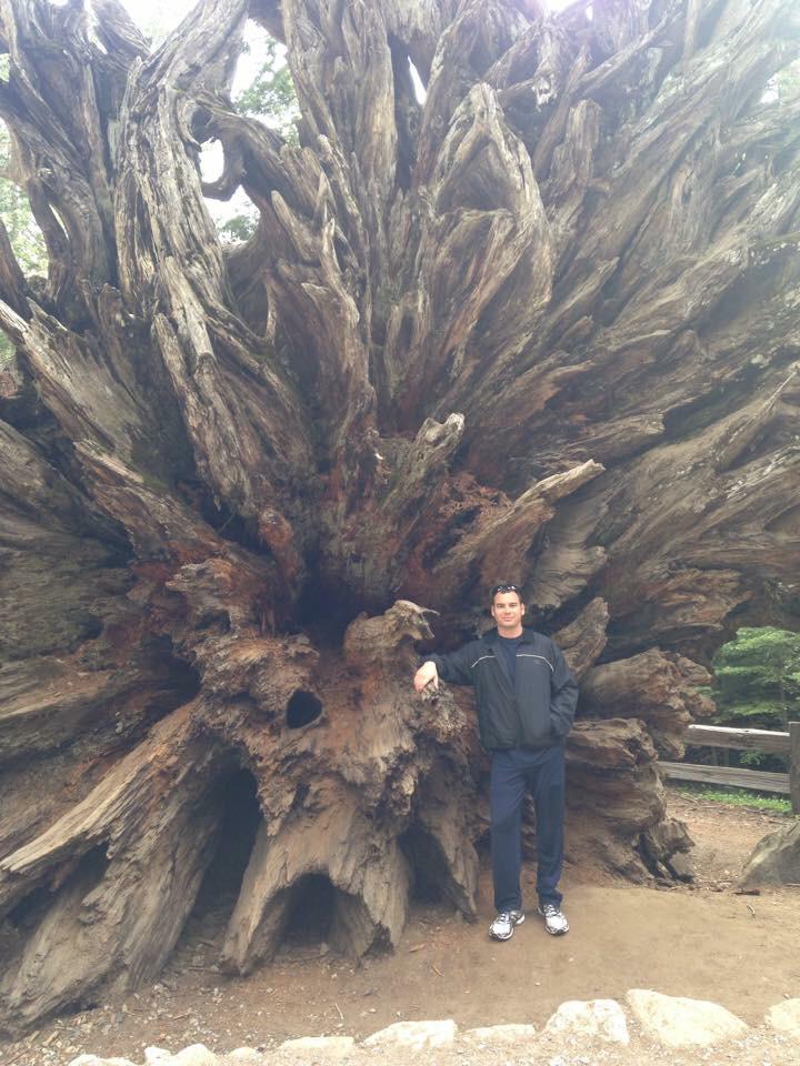 KaptanHindustan's tweet photo. The root system of a giant sequoia tree. http://t.co/5L9yEP3mxU