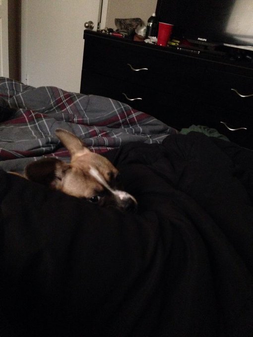 Watch February’s Finest's leaked NSFW photo on TwXstars