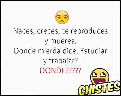 SinaloenseMoxa's tweet image. Jajajajjajajja #FelizSabado