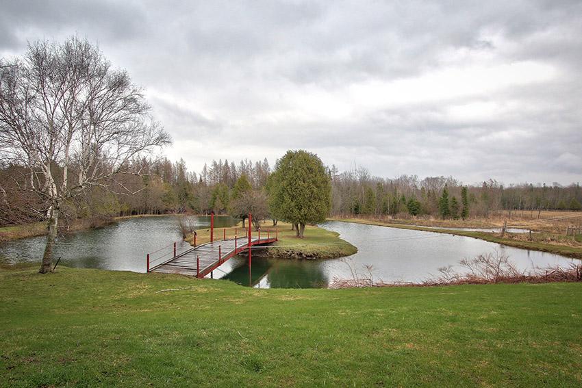 Michael_Maish's tweet photo. Come and check out the pond at my Open House today 2-4pm in #Flesherton http://t.co/kzNhqrGOnq http://t.co/niIO6Z9J1v