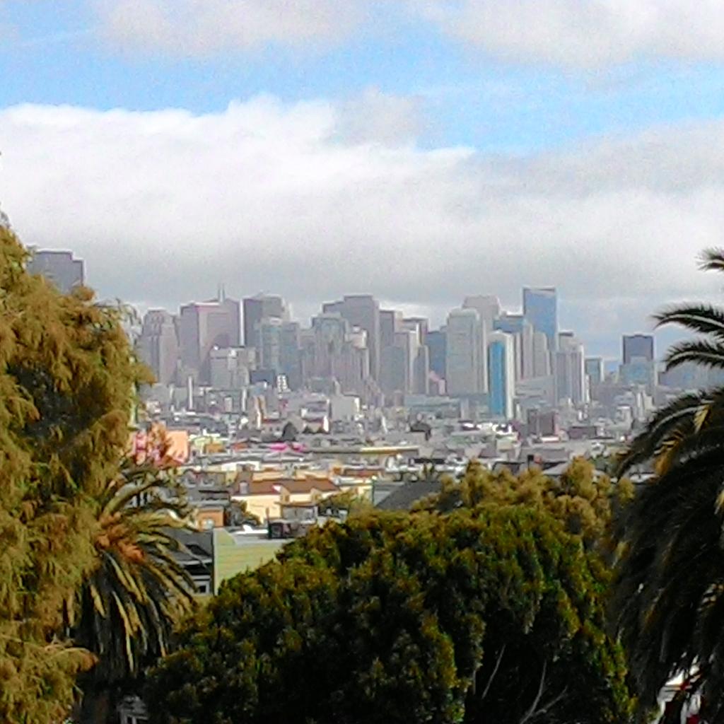 Jameel Riccardo Mohamed (@jameelrimohamed) on Twitter photo 