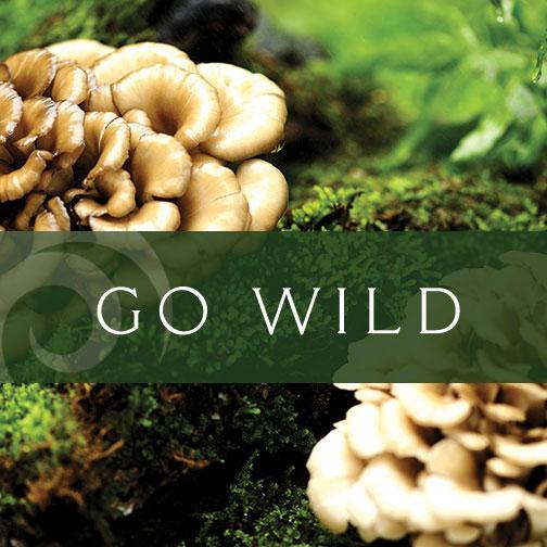 ADevotedYogi's tweet photo. 100% natural
#organic, raw &amp; wild
*special pricing*

 http://t.co/ZPrGhlmV8k

#adevotedyogi http://t.co/gXzDeOWhk2