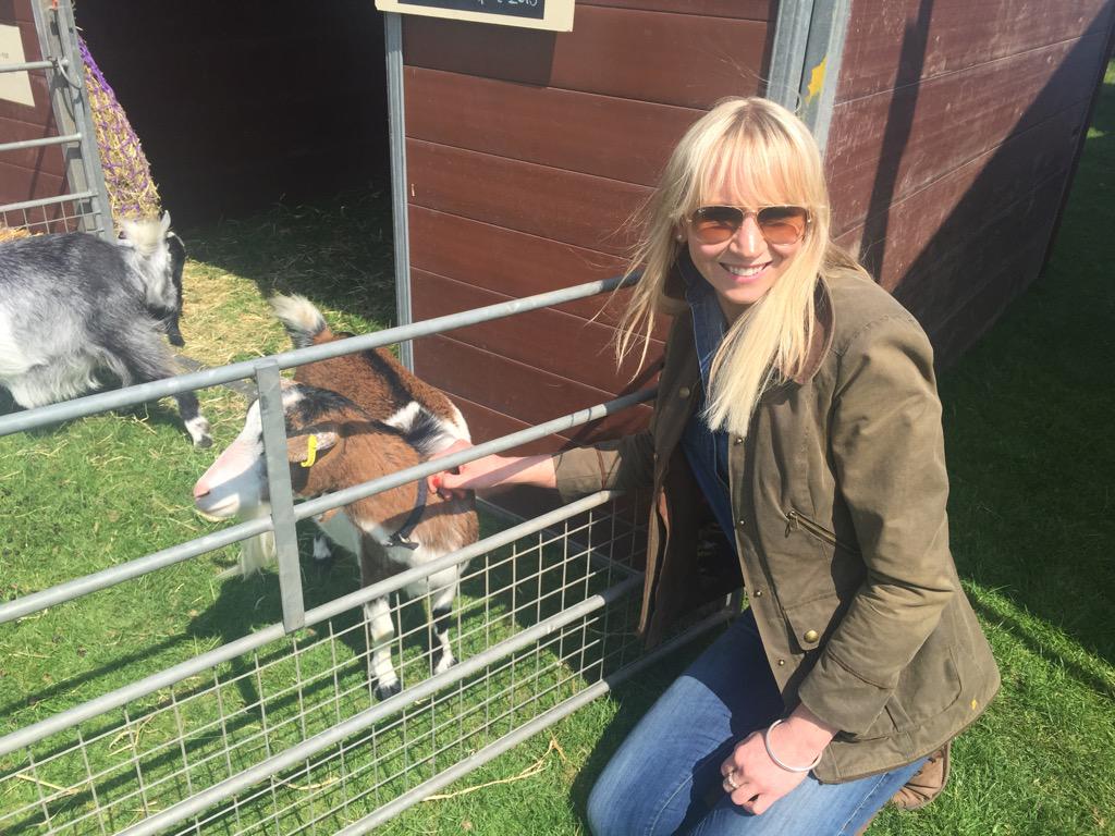 GillPetty's tweet image. Made some goat friends! @ChatsworthHT #eventing #goatfun!