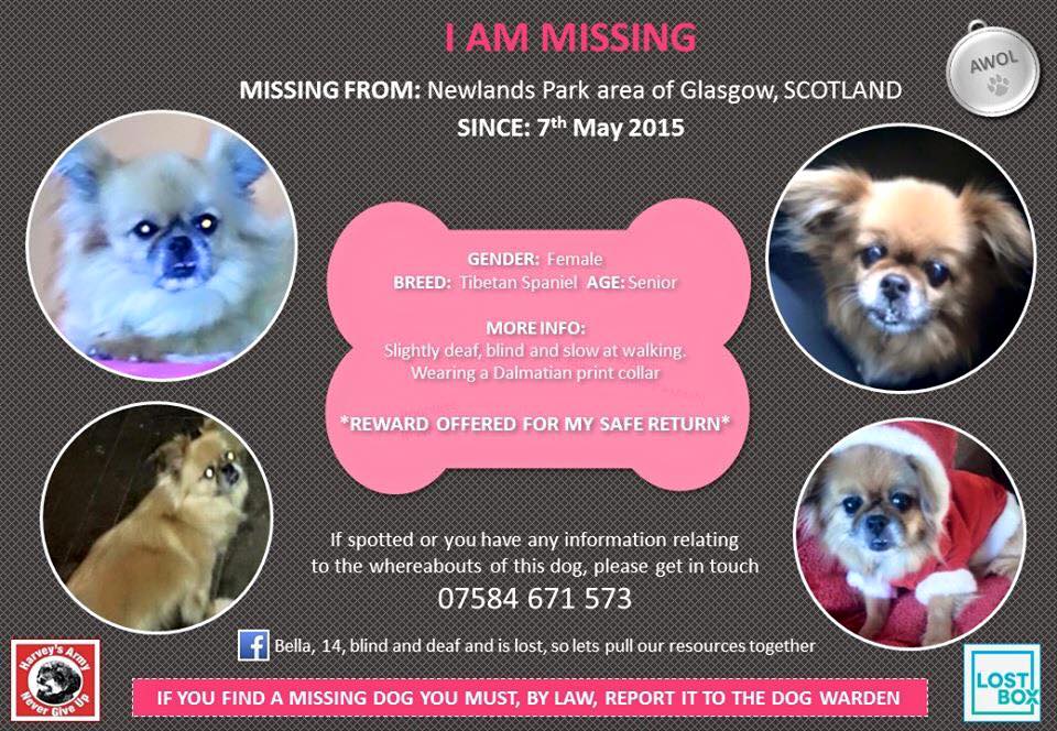 Please share! Deaf/blind dog. thank you.