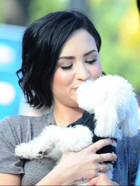 miotomars's tweet photo. Demi and Buddy ♥ @ddlovato ♥ @DemisBuddy ♥ #FollowMeDemi ♥ http://t.co/9qnZ7LFTZe
