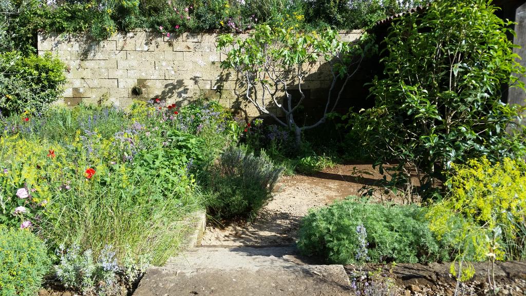 YoungHortAus's tweet photo. Best time to be an aspiring horticulturist! It Will take you all over the world #RHSChelsea #YoungHort @BassonJames http://t.co/uc4G4jpv5R
