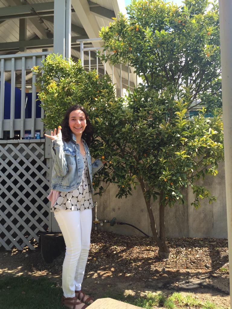 FriendzAustyCle's tweet photo. .@cleo1234561 found a kumquat tree! #treetomouth http://t.co/kgX4pK9TvZ