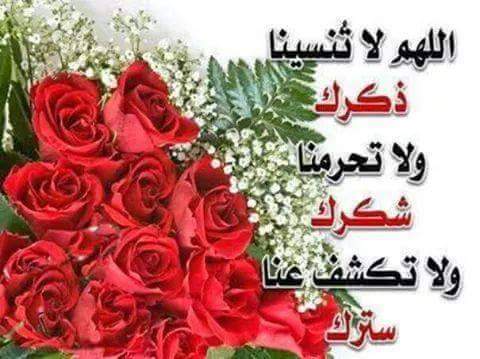 halal1234123's tweet photo. http://t.co/LEQrLQp0Dk