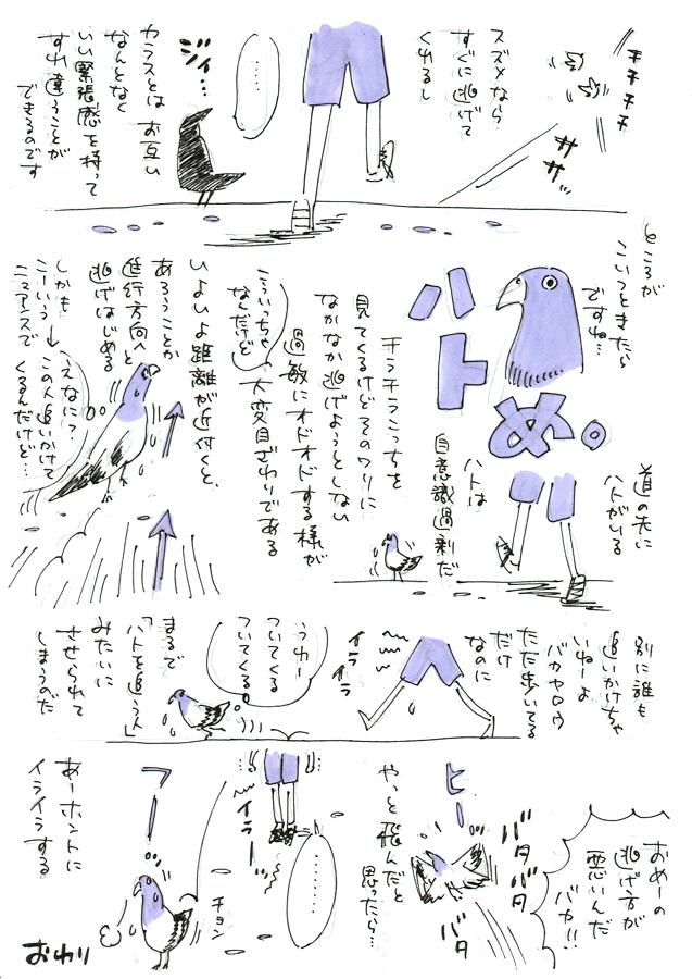 ハトめ。 