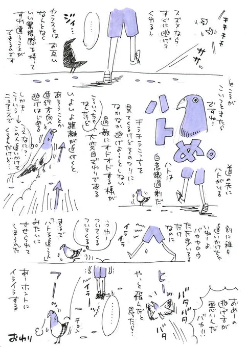 ハトめ。 