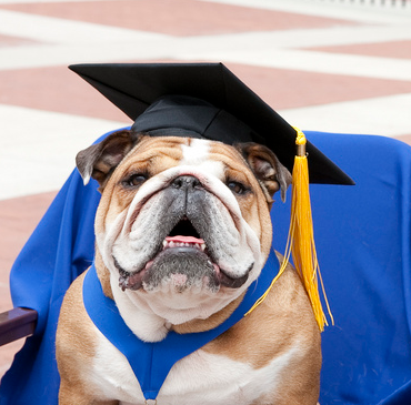 Congrats to the class of 2015! We are very proud of all you have accomplished and wish you the best. #Drake2015