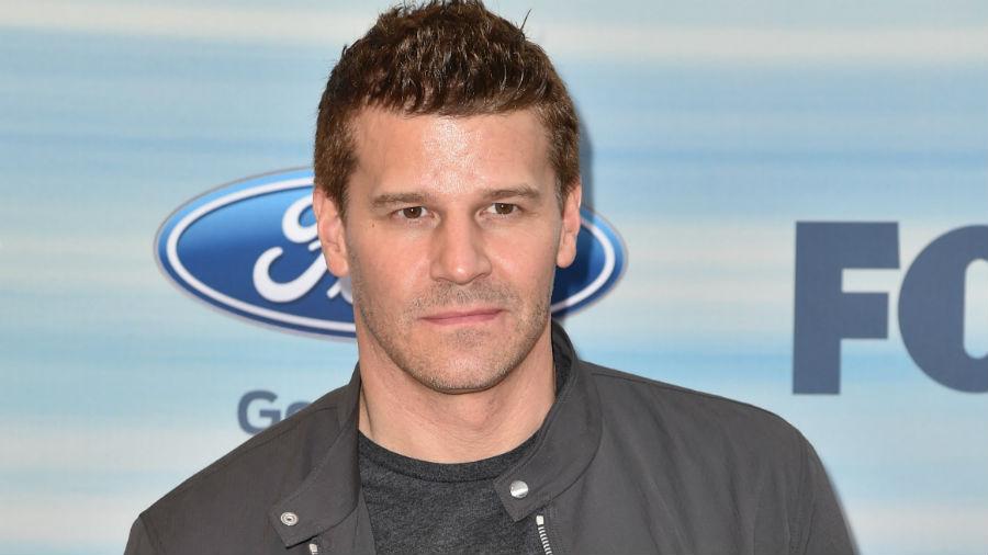 Happy birthday, David Boreanaz: 6 reasons to love the star  