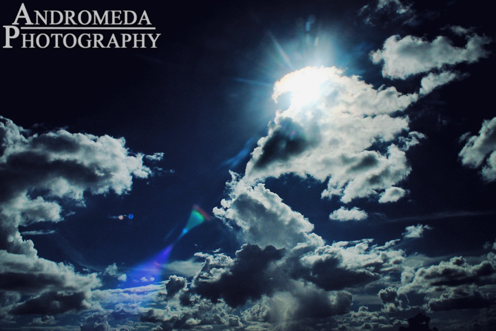 Andromeda tweet media